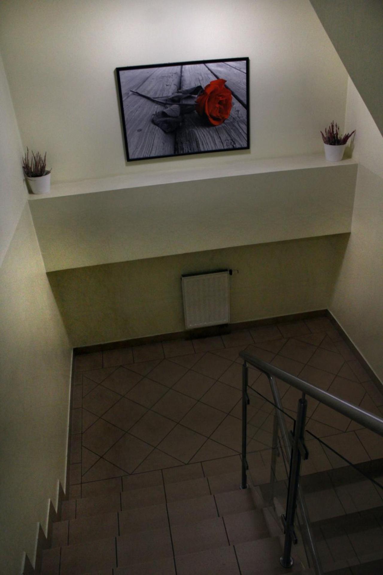 Hotel Kreator-Sport Krakow Bagian luar foto